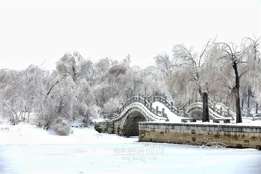 暂停|应对极端天气确保安全，太阳岛风景区暂停开放