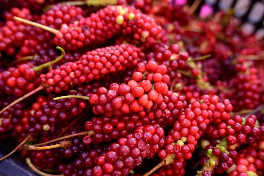 尼康Z 40mm f/2镜头评测：定义入门标头新标准