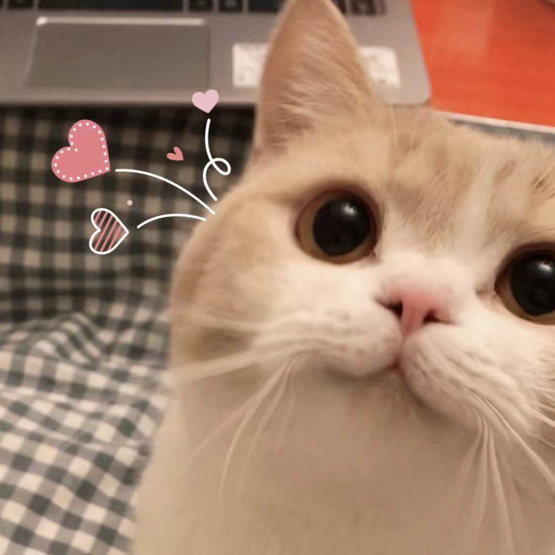 因为 办公室通勤显瘦秋季穿搭,快来选你喜欢的