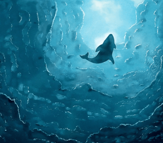 鲸落万物生鲸鱼死后叫鲸落鲨鱼死后叫什么