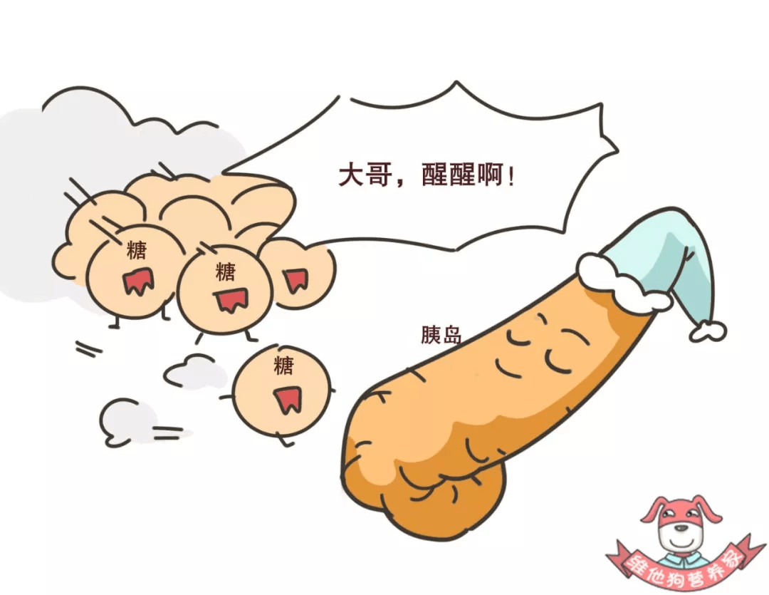 体重|糖尿病早期有哪些症状？