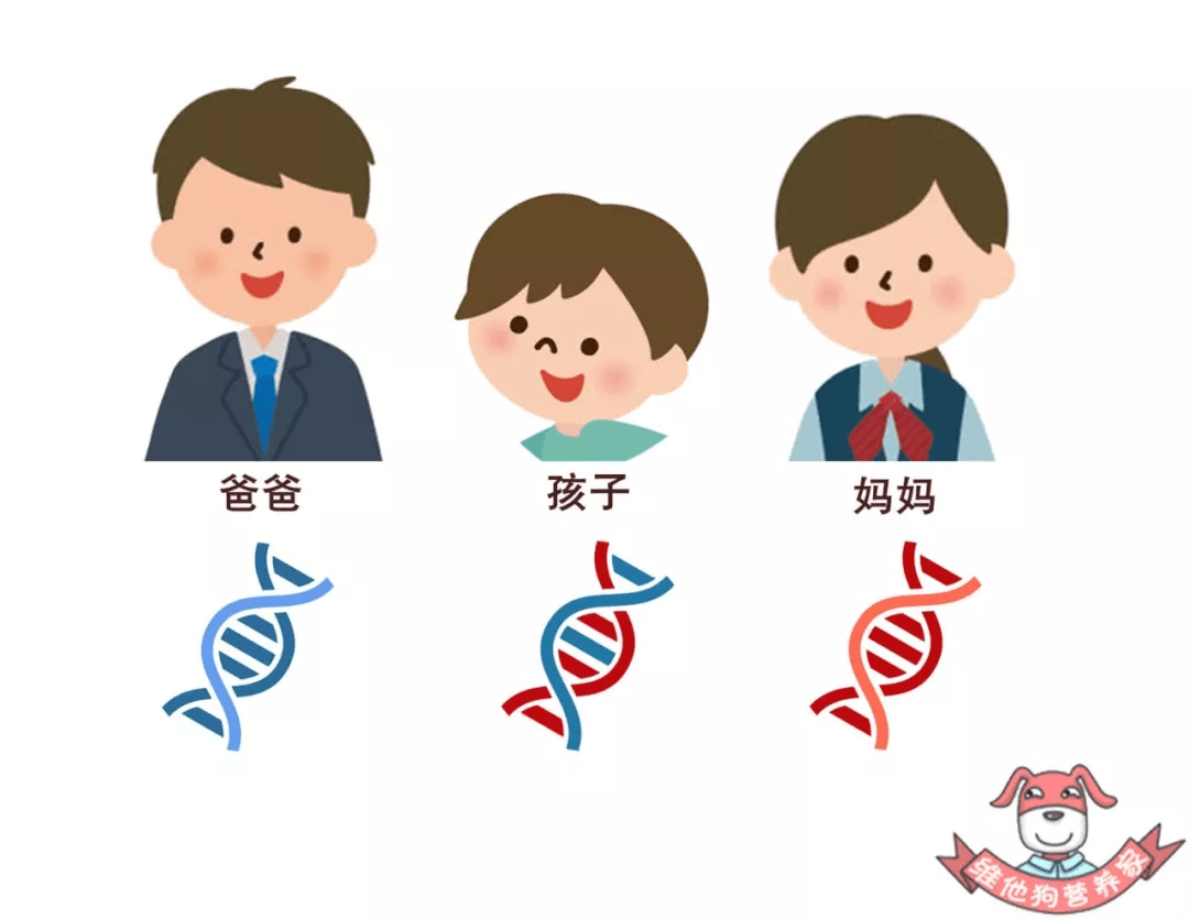 体重|糖尿病早期有哪些症状？