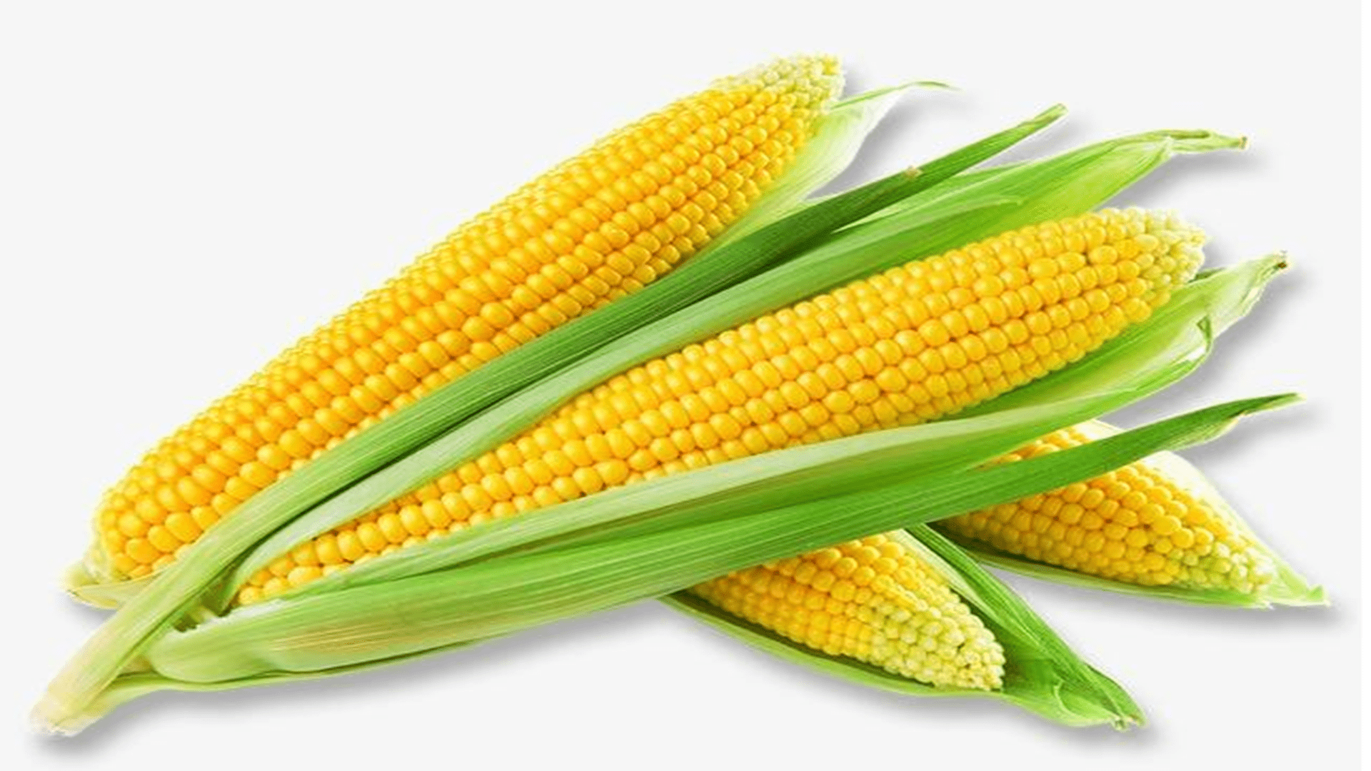 糖尿病人|吃饭或者做饭前看看，控糖食物有推荐，糖尿病“控糖”有方案