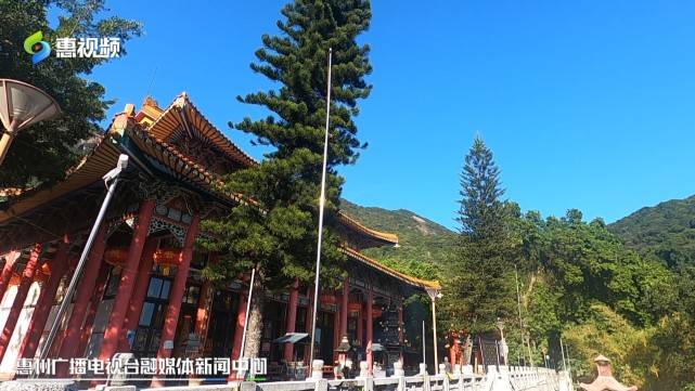 惠州最老古树：罗浮山“人面子”树 历经千年仍生机蓬勃
