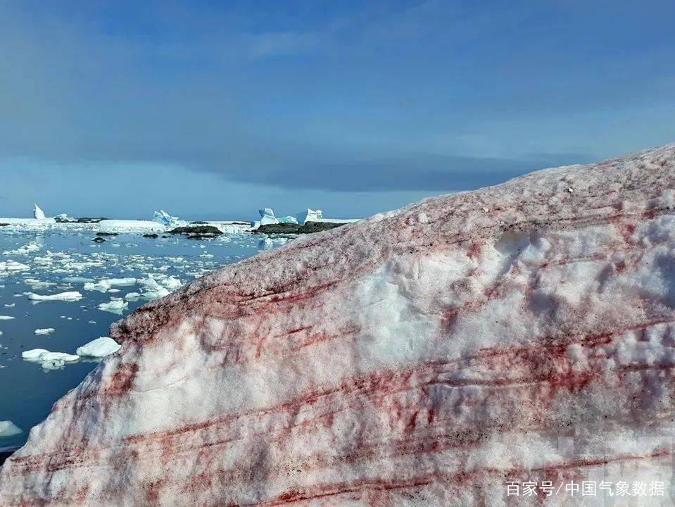 赤橙黄绿青蓝紫~这些颜色的雪你见过吗？