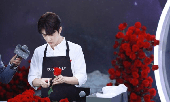 猫咪 肖战直播,与roseonly一起发布爱的告白