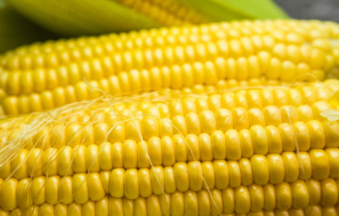 症状|33岁男子减肥不吃主食，竟患糖尿病，医生提醒：低血糖可能更“危险”