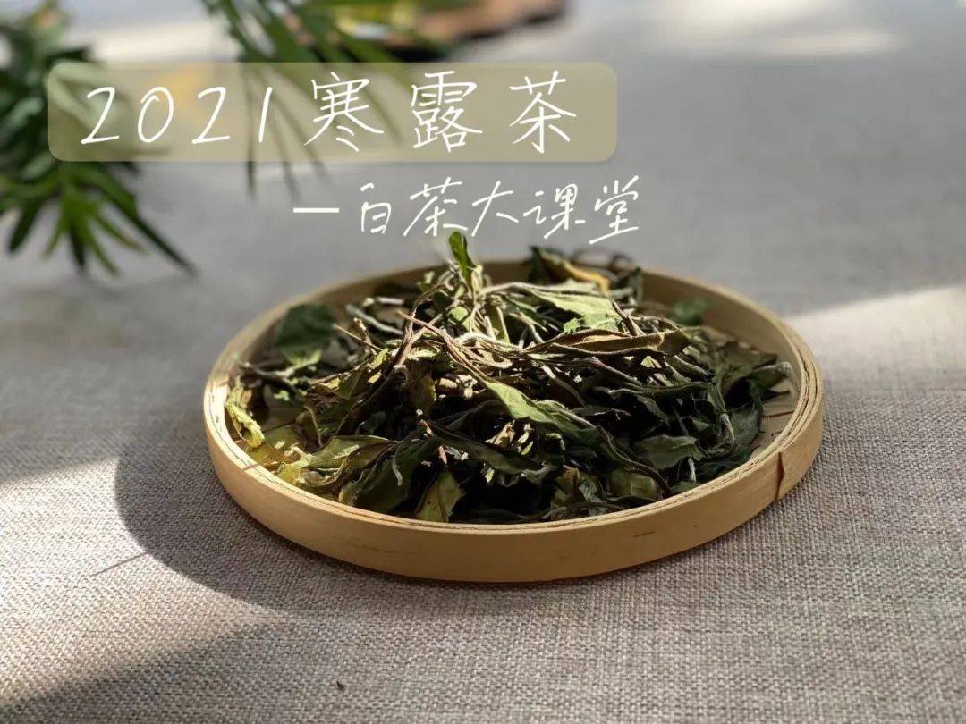 知识科普|同是茶具，为什么盖碗和紫砂壶泡白茶，滋味差别这么大？