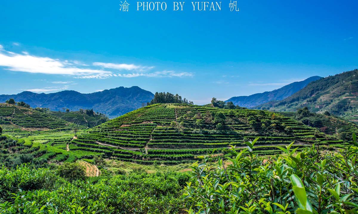 粤东|低调的粤东第一山，满山都是摇钱树，家家都是千万富翁