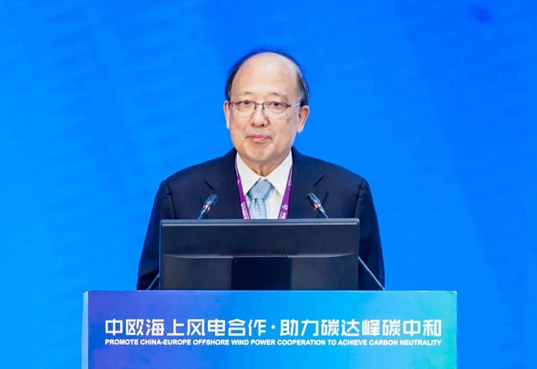 陈十一院士：产业协同与多能互补将成海上风电未来发展趋势
