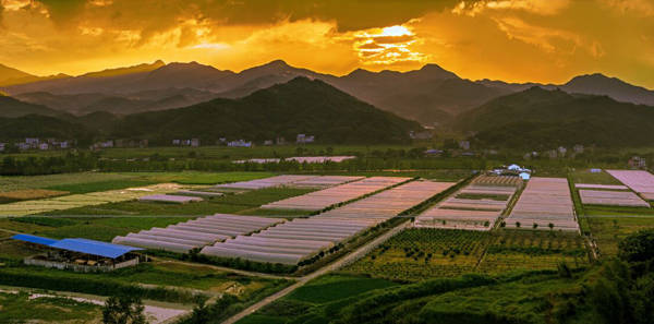 宜春市袁州区南庙镇聚焦"生态 "打好乡村振兴组合拳