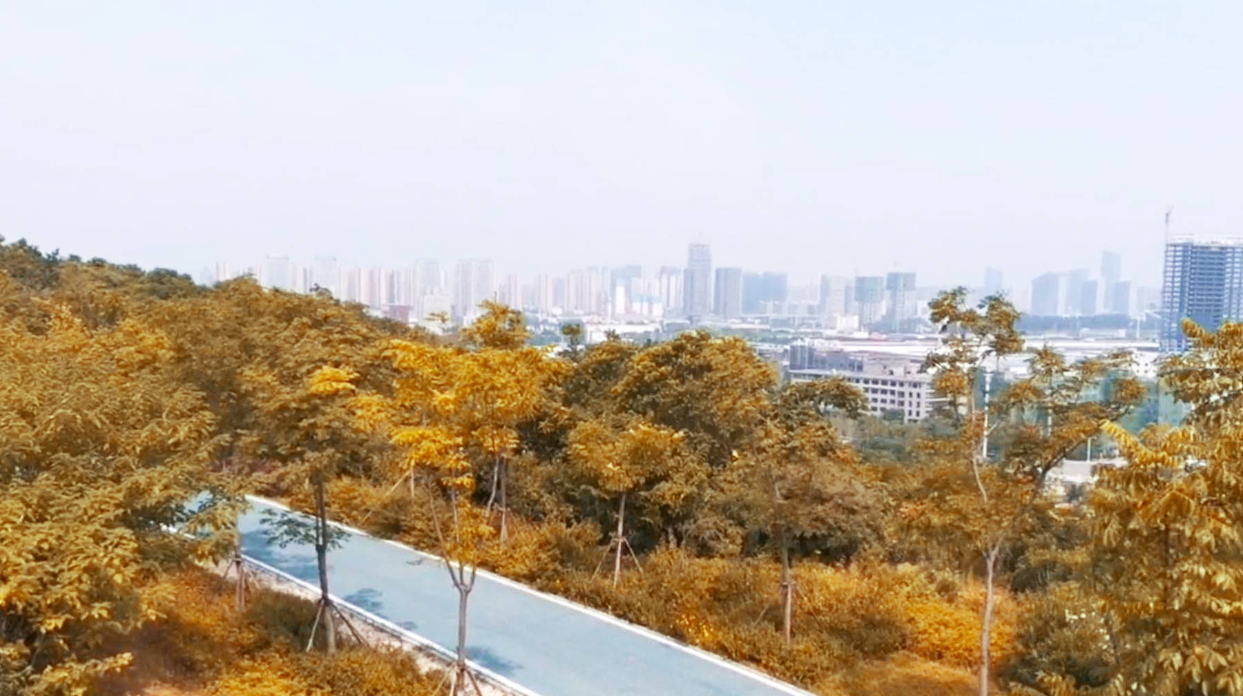 荒山变绿道,去武汉江夏三环线边这座公园,攀登高峰鸟瞰城市全景