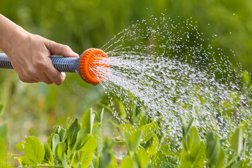 农业自动化灌溉系统是什么