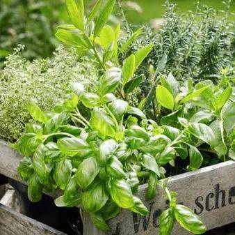 手部不撞香的高颜值护手霜,你用过吗?