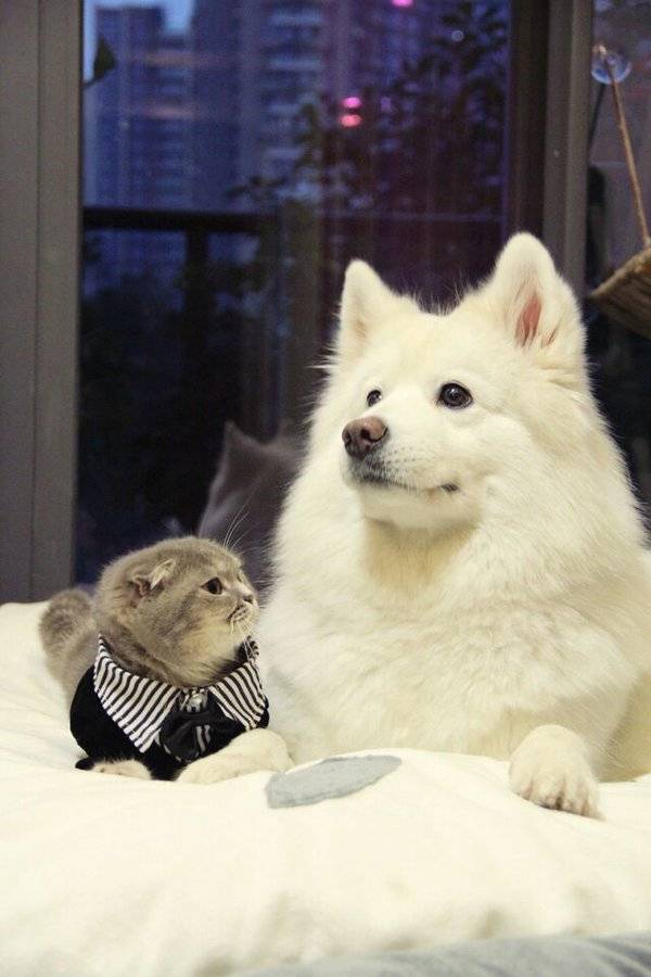 心全意的爱着一个人,而且对我来说这就足够了.