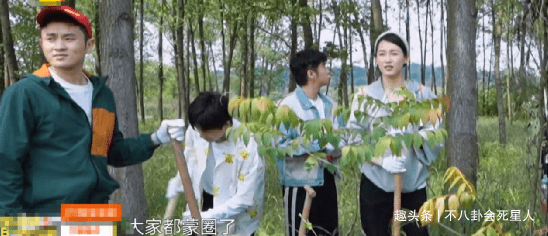 现实|杨紫一人录三期，11个小艺人录一期，《向往》揭露红与不红的现实