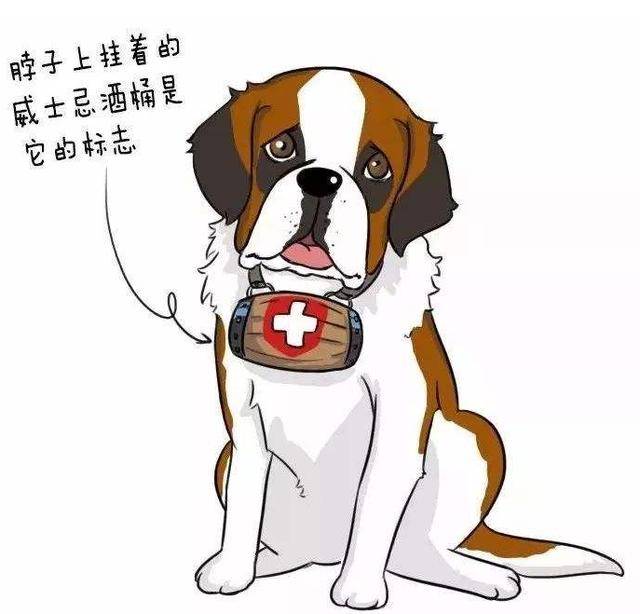 看似凶猛,实则性格很好好的3种狗狗,养的人少喜欢的不少_圣伯纳