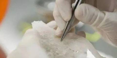 ecae490a57ab49bb8a1f6f7c7845afbb.jpeg