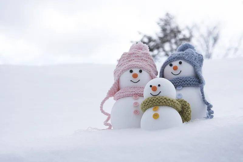 节气|今日“小雪” | 小雪雪满天，来年必丰年
