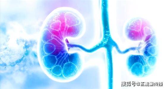 肾脏|肾功受损,身体知道!肾衰竭的6个早期症状,或是都被你忽视了