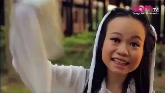 国产|那些被越南糟蹋过的国产剧