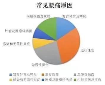 损伤|腰痛怎么办｜教您自我辨别腰痛的原因及日常预防