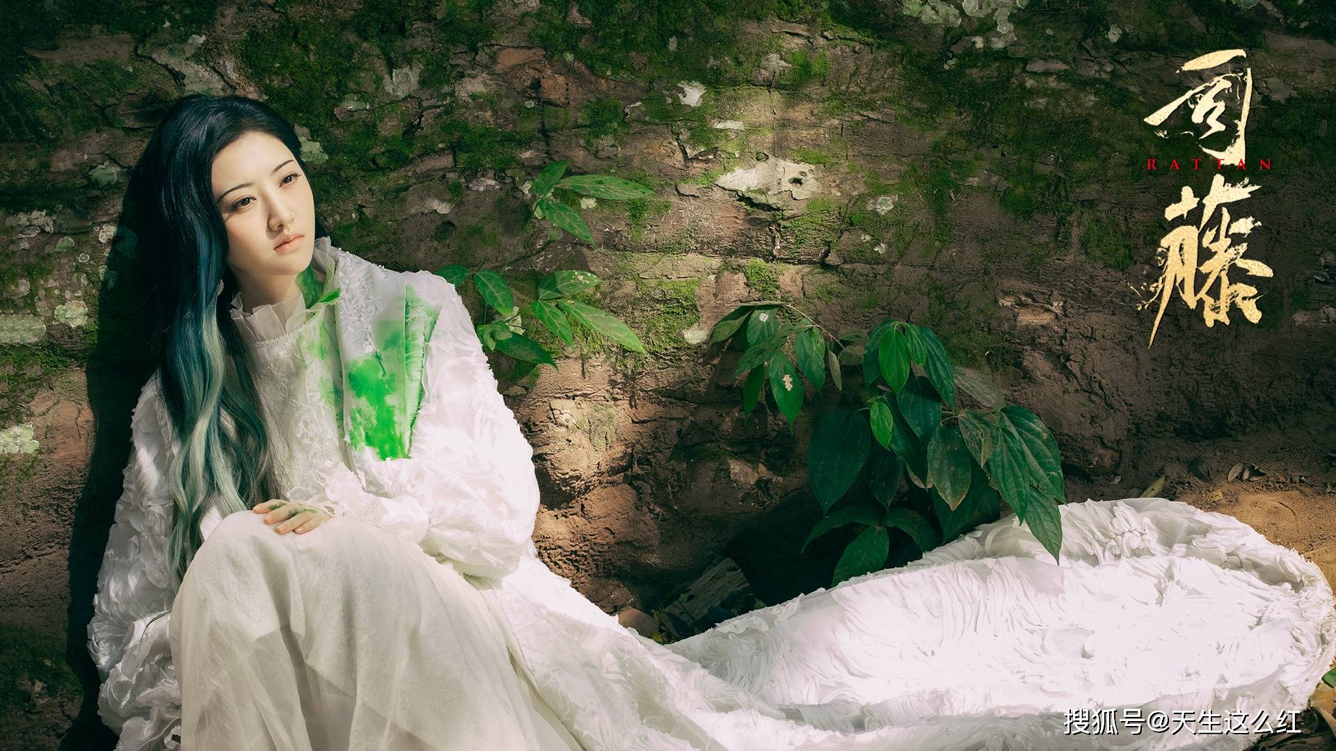 司藤小说讲的是什么 c4d484d347c3482fa72d225643c132f5.jpeg