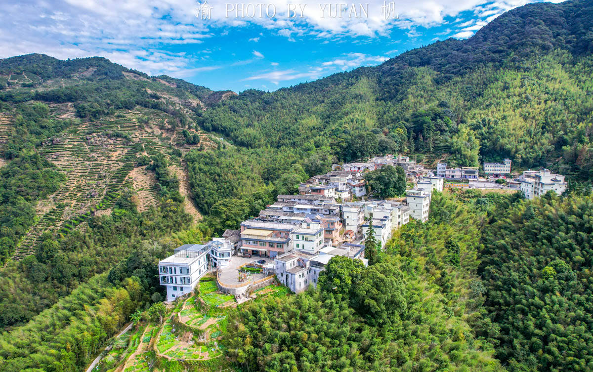 叶子而|藏在粤东大山里的世外桃源，形如山中半岛，村民因一片叶子而致富