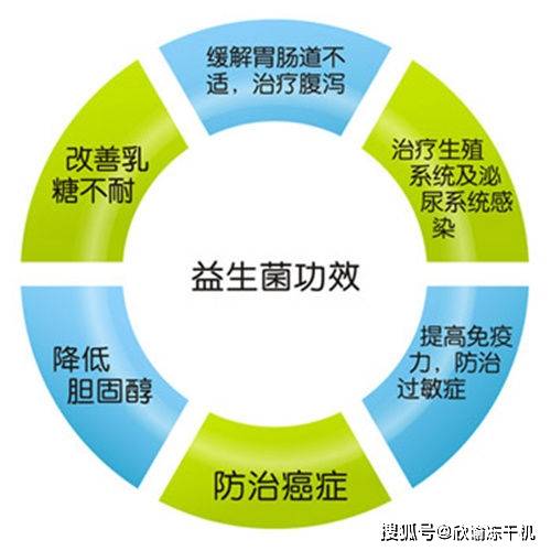 啥是微生态失衡 627c436cd2e549838ec14974b8c9f64b.jpeg