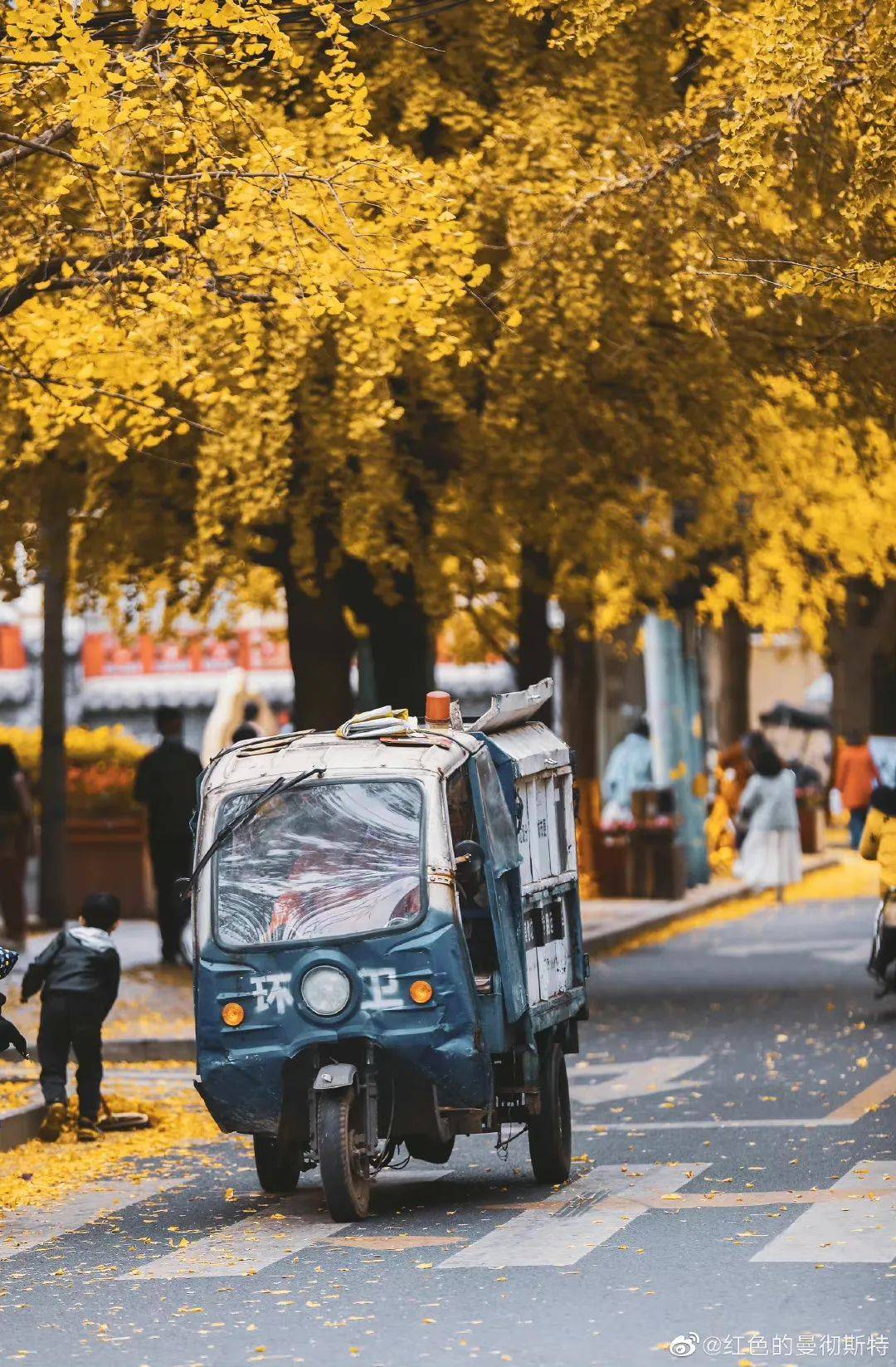 缺点成都拍银杏的四大绝佳地点！你还没去过吗？