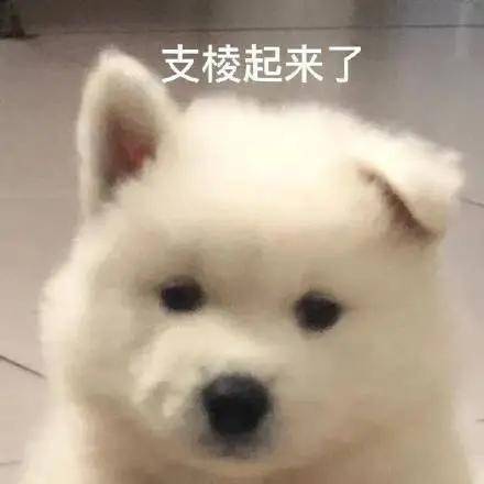 Susu不是吧！万能的早C晚A，居然有人用到烂脸？