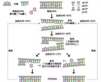 新冠快速检测