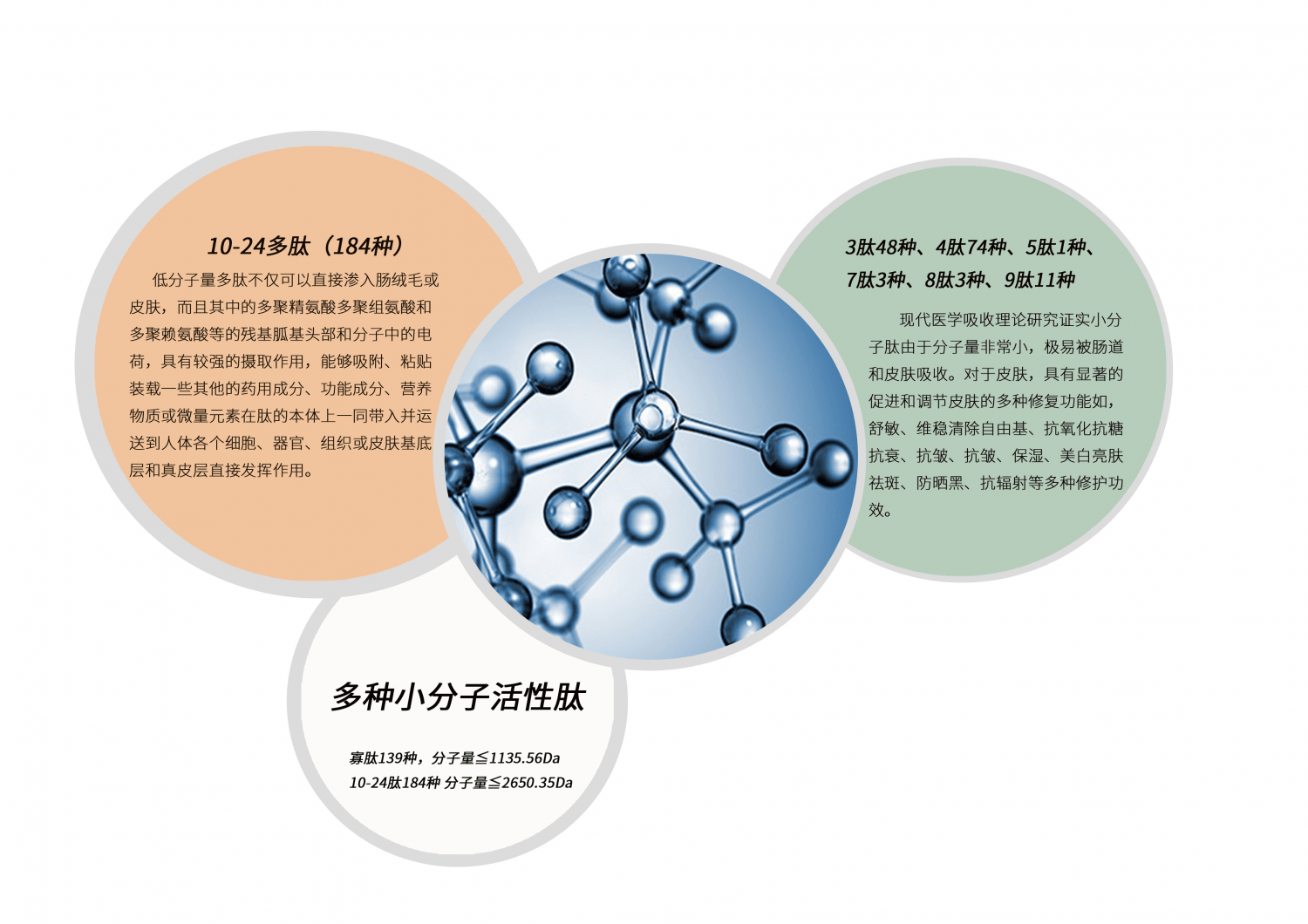 国货新标杆 ——哈尚美蛋膜肽