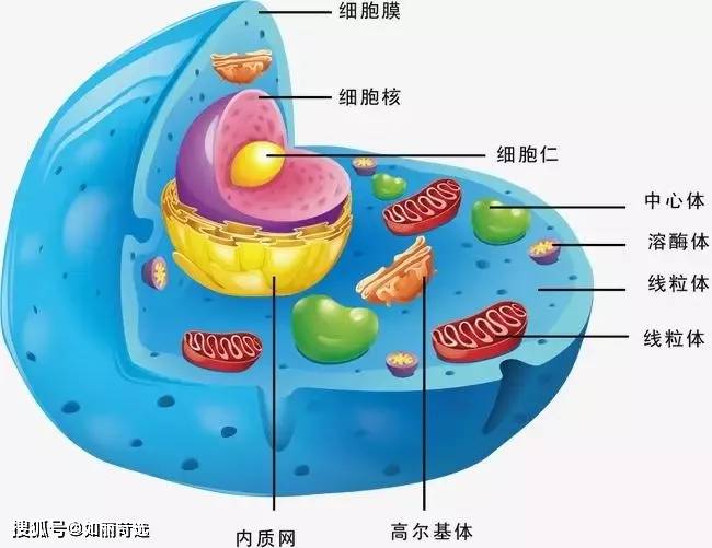 玛吉花3w做的热玛吉没给看二维码，很担心是假的，完全睡不着
