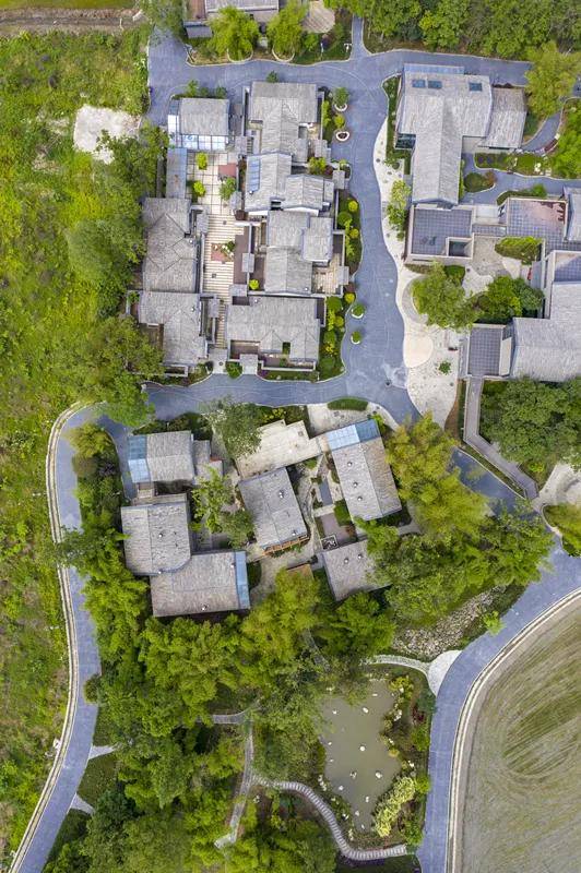 读城〕郫都林盘 天府之根(一):天府之国的绿色珍珠_川西_生活_坝子