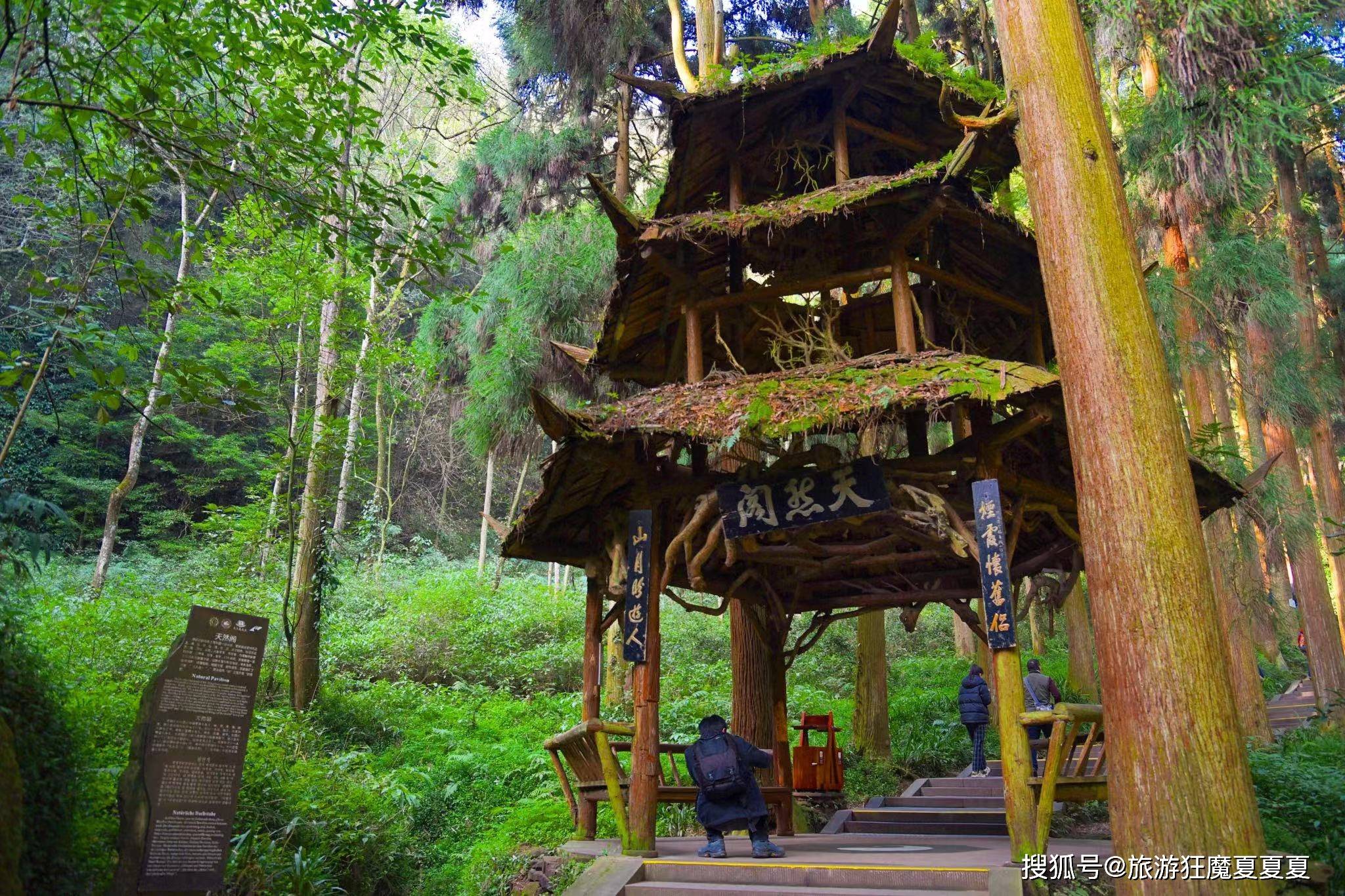 四大道教名山之青城山，前山问道后山度假，道观和民宿多不胜数