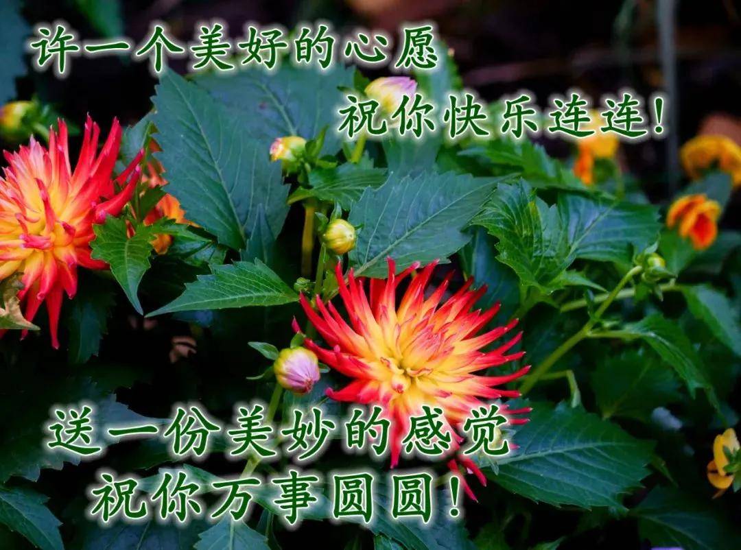 11张非常可爱的小孩早上问好图片带字 温馨的早安问候语简短_朋友