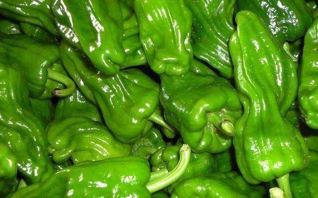 丝瓜的功效与作用降血糖 f749b1e96b9b4ae4b3d2dc4d6ac89f94.jpeg