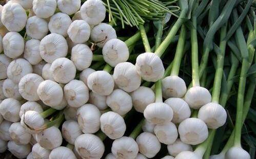 怎么种土豆教程 5d831182a9404cbaa4cbc30c91842f5f.jpeg