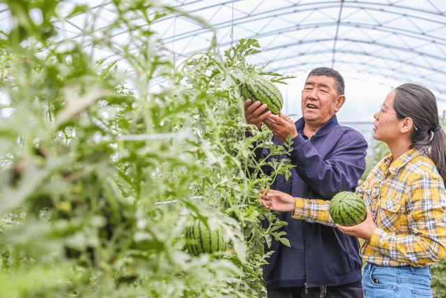 大兴区农业技术推广站农艺师于琪与当地瓜农(来源:北京日报客户端)