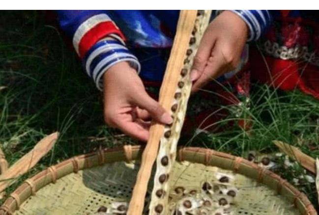 妙品|此物是天然的“雄激素”，男人可多吃，身体健康了，谁吃谁受益