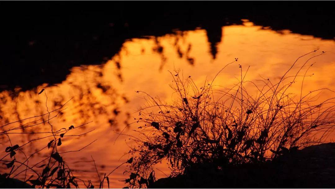 怎么才能让自己内心安定平静 0de648fb65ec4355b61379bfd3a46316.jpeg