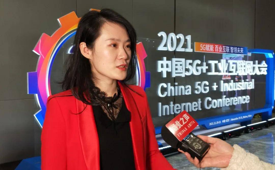 湖北省经信厅规划和技术改造处副处长王隽表示,将在