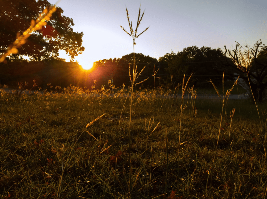索尼xperia Pro I使用体验 商业新知 关注全球商业大事件 专业视角解读风口跌宕与商业起伏 Data新商业 新商号
