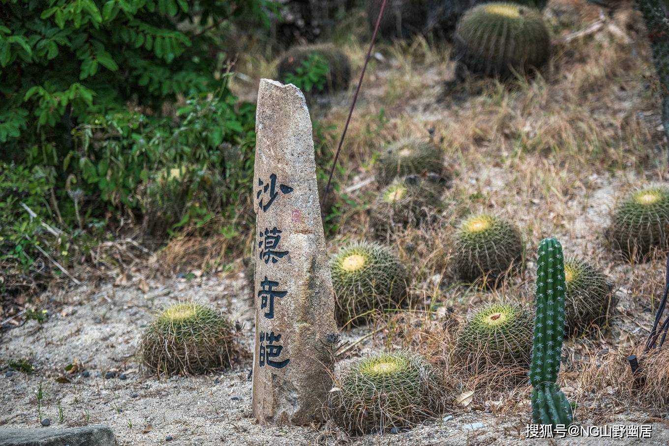 度假型|厦门最大的庄园式酒店，下榻于此就像逛森林公园，真的太爽了！