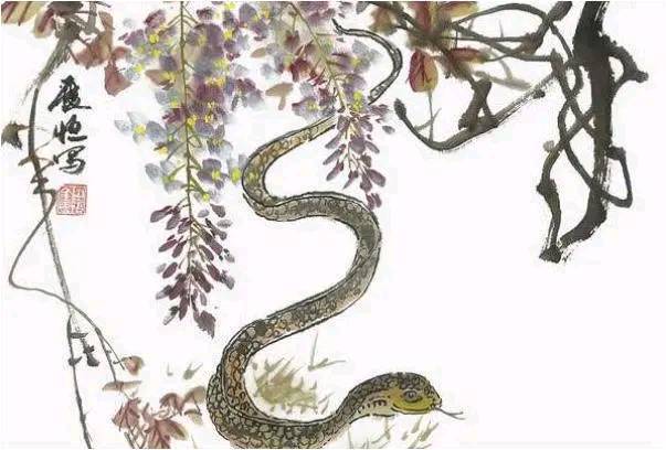 蛇是怎么变成龙的7个阶段 9db4c23561064c0f995e18e6dcc2ecc9.jpeg