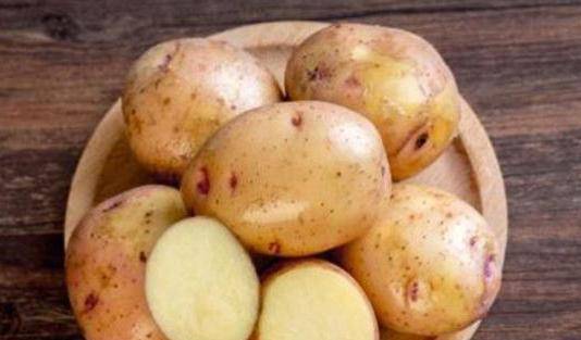 土豆加鸡蛋会长胖吗 a319103f36f14a72bcad49ea294e6351.jpeg