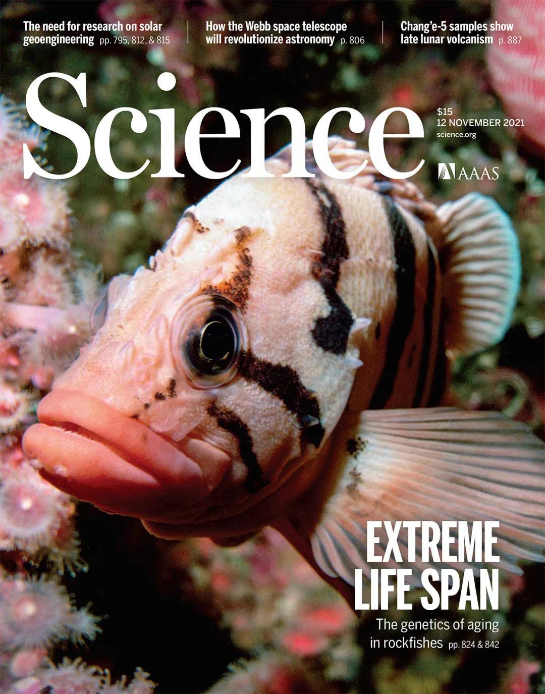 活到200岁的奥秘，科学家在这里找到了