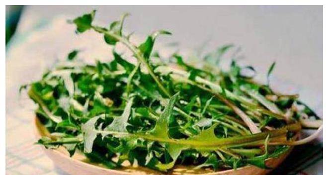 婆婆丁的吃法大全 e37a98c43a044f3fb954375e2d43bc7a.jpeg