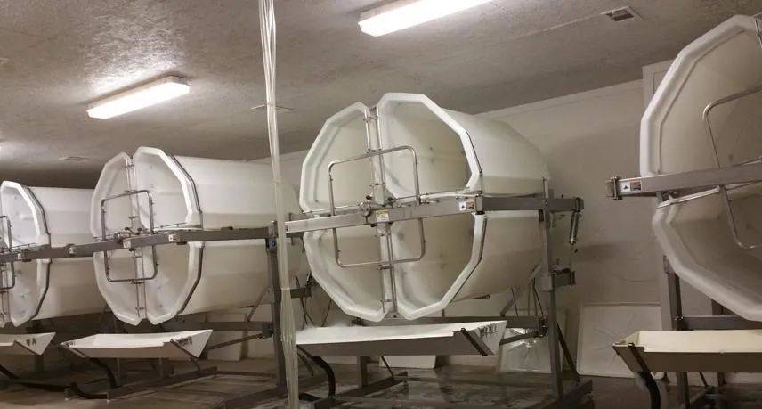 品类|坚果内卷何时休?发芽坚果成为下一个突破口